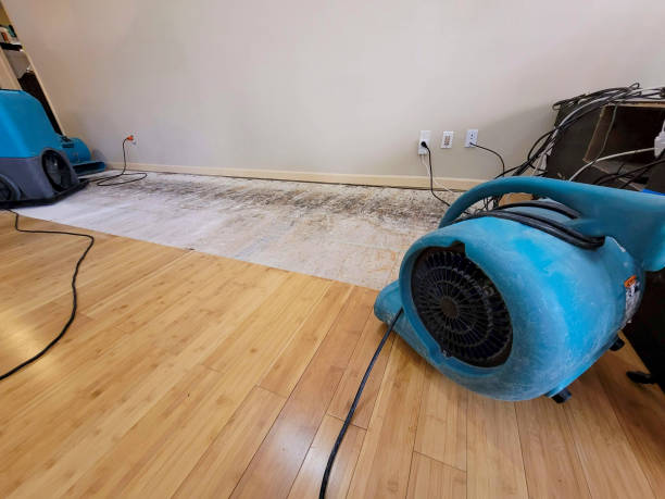 Professional Sewage Cleanup technician working in Papaikou, HI